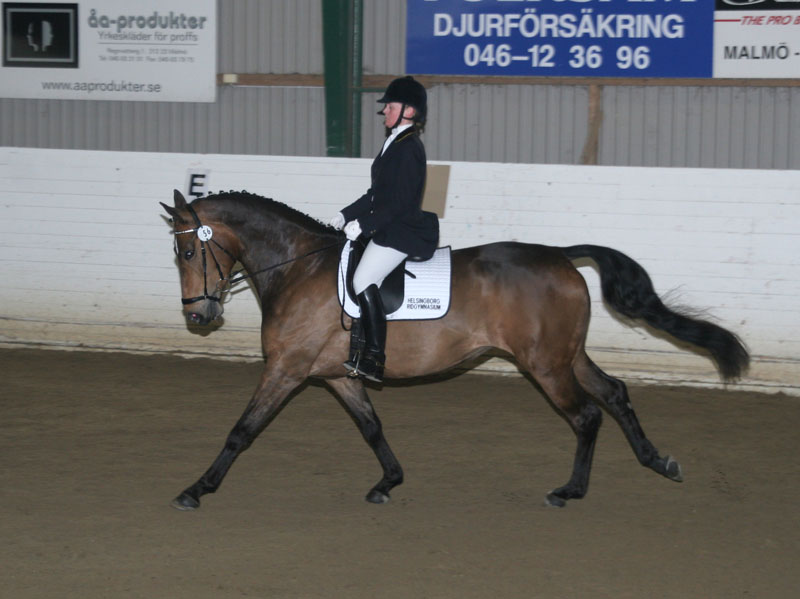 20080406_135548 BrittMarie Henningsson Ivarsson Wharette